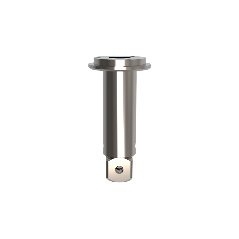 Extensions; base: titanium; stem: titanium
